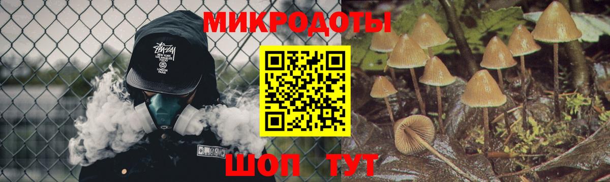 Галлюциногенные грибы Psilocybe  Вход с VPN  Первоуральск 